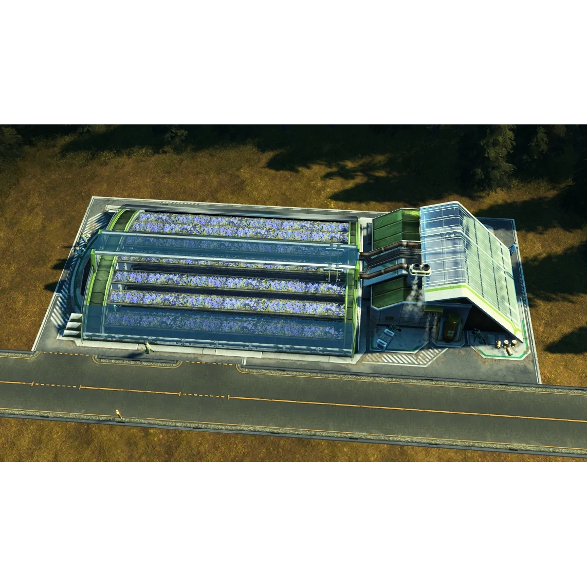 Flachsplantage (Tundra)